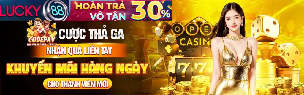Quản lý tài khoản cá nhân (VIP Manager)